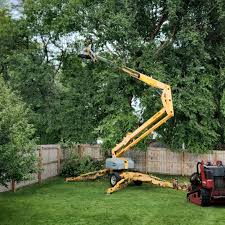 Best Storm Damage Tree Cleanup  in Snellville, GA