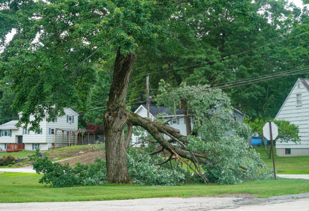 Best Arborist Consultation Services  in Snellville, GA